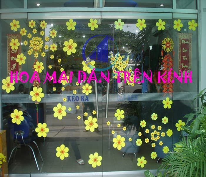 Cách dán hoa mai xốp lên cửa kính