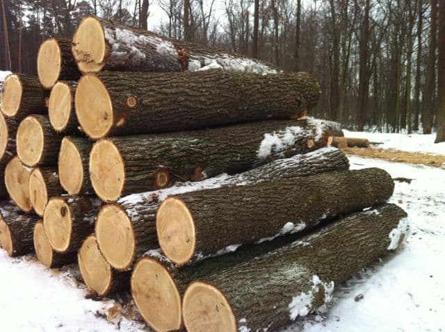 1 khối gỗ bằng bao nhiêu mét vuông?